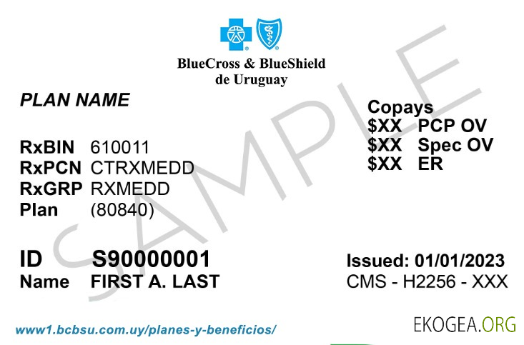 Carte d'assurance maladie de l'Uruguay